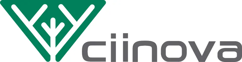 Ciinova | Soluciones Eficientes en Sistemas  Integrales de Innovación para el Bienestar Social